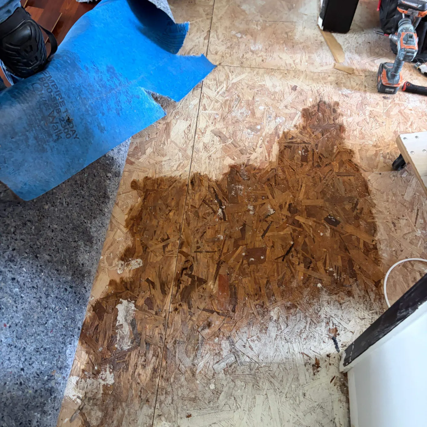 Moisture meter reading on drywall in Viking Meadows water loss